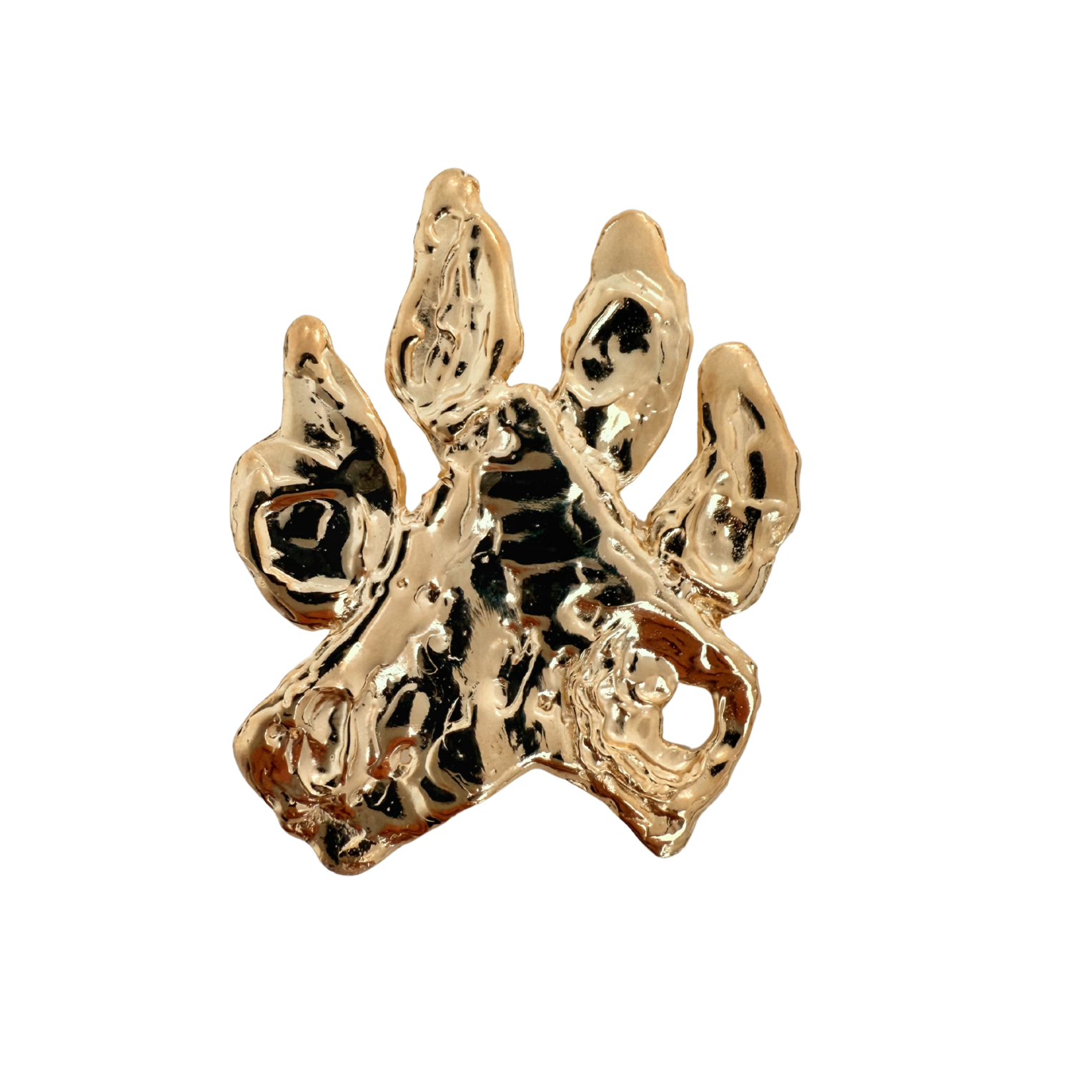 BROCHE FETCH