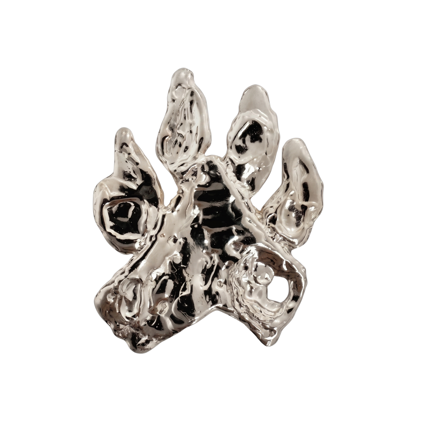 BROCHE FETCH